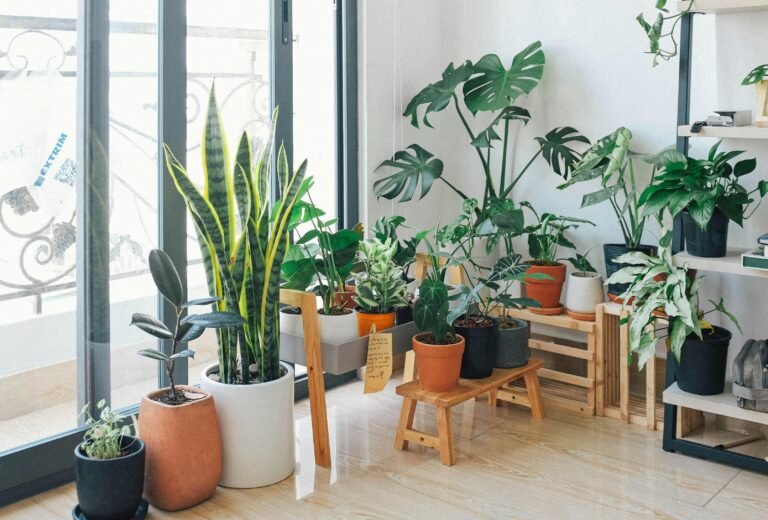 Read more about the article 15 Best Indoor Plants to Grow: A Guide for Your Home