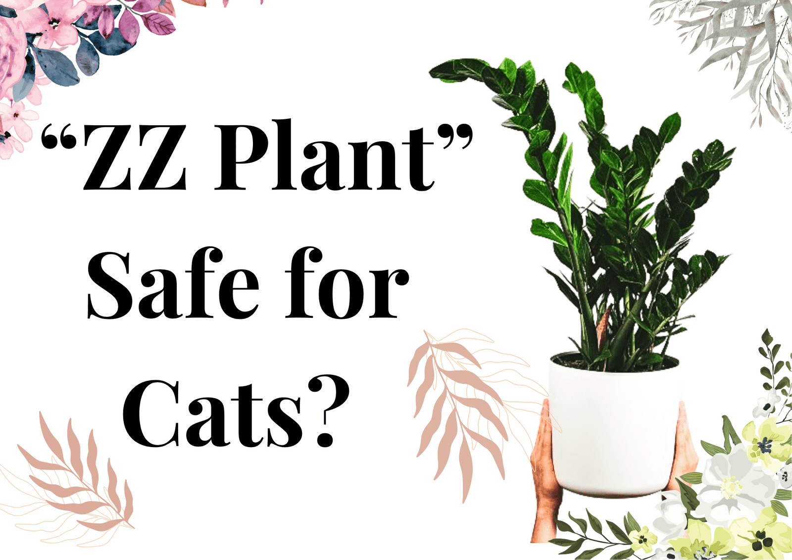 Read more about the article Is ZZ Plant Safe for Cats? A Guide to Protecting Your Pet