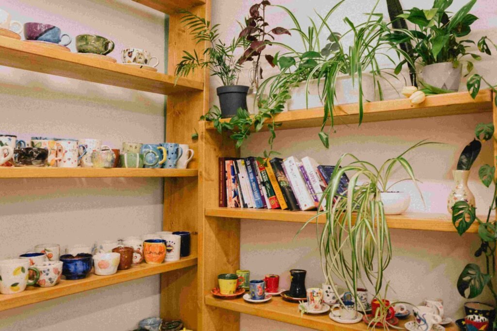 Spider Plant benefits: Natural Humidifier